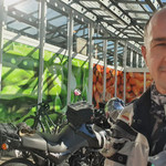 Franko  Steinert, 59