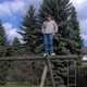 Andrej, 38