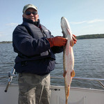 Greg, 71