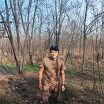 ������ ���������, 33 (1 ����, 0 �����)